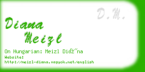 diana meizl business card